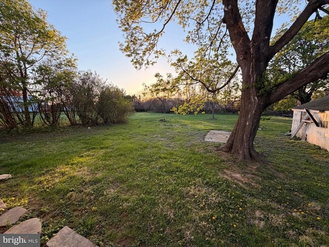 Building Photo - 15 Wolf Ave