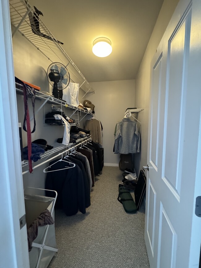 walk-in closet with built in shelving - 1118 W Washburne Ave