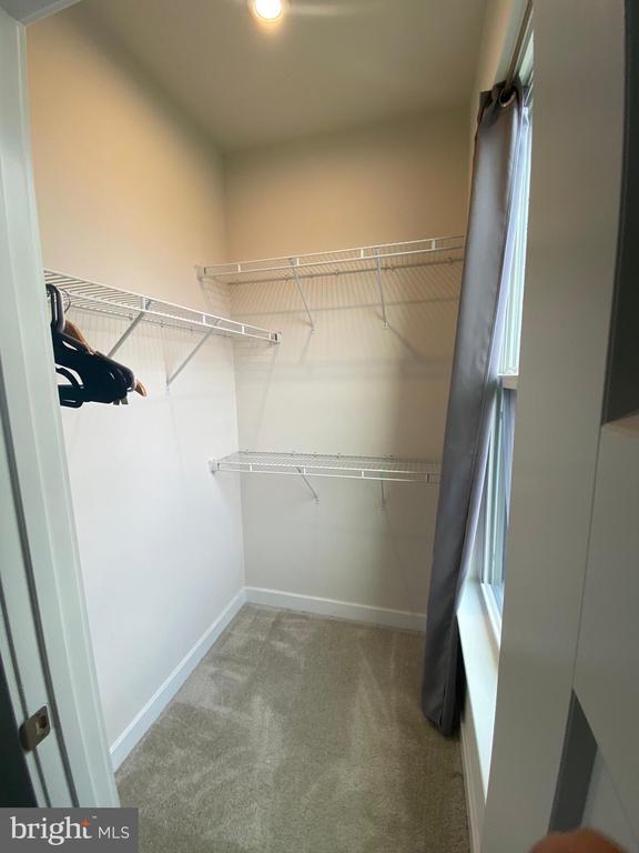 Building Photo - 6212 Editors Park Dr