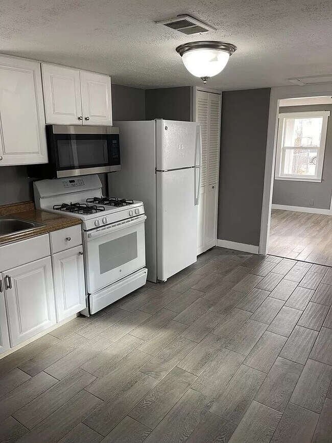 Building Photo - Spacious Railroad Style 1 bed/1 bath Home in Denver, CO- Available 8/21/26!