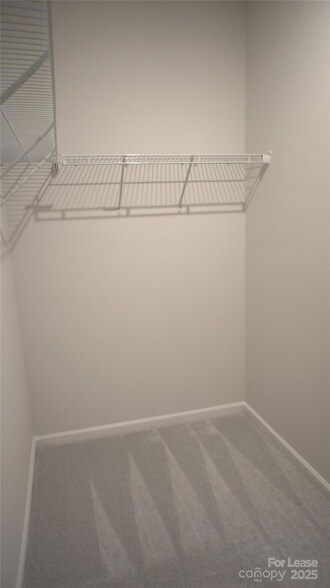 Building Photo - 106 White Apple Wy