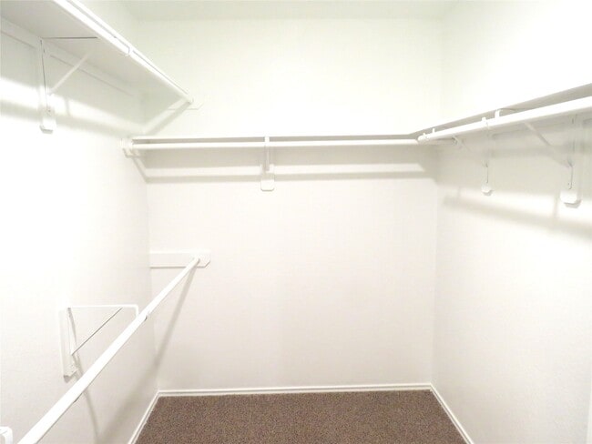 Building Photo - 9506 Paloma Creek Dr