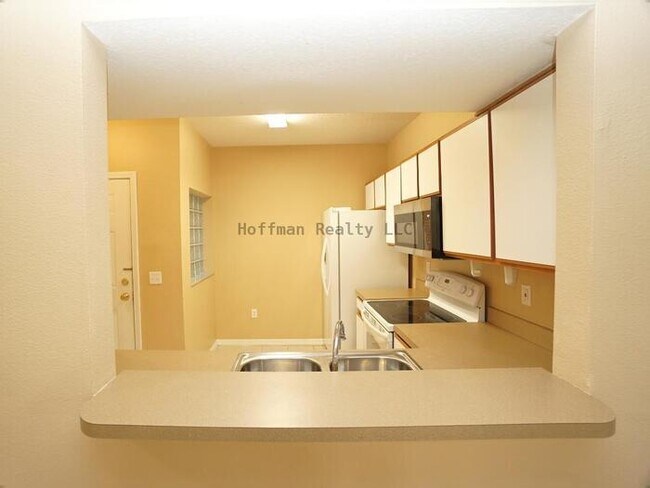 Building Photo - 3/2 Condo in Villages of Bloomingdale