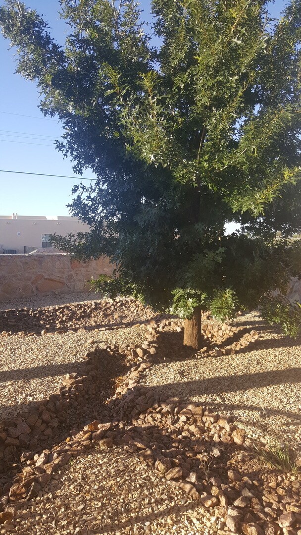 Building Photo - Beautiful home!  Great access to WSMR and NASA!