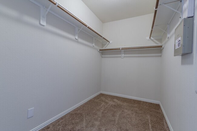 Building Photo - 5 Iris Arbor Ct