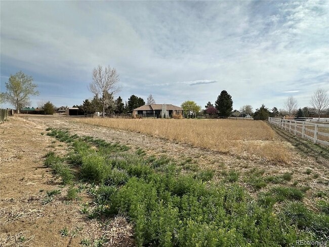 Building Photo - 14781 Clay St