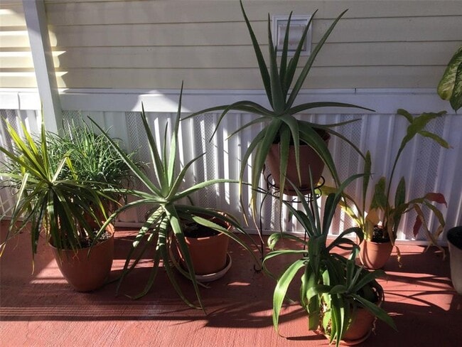 Building Photo - 1449 SW 87th Terrace