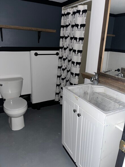 Basement bathroom - 4940 Walsh St