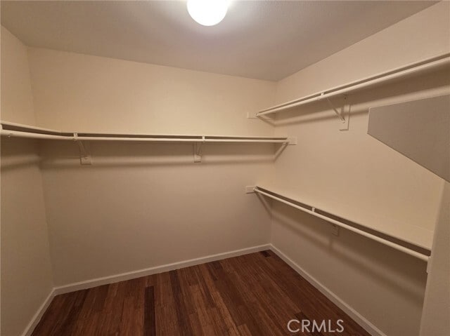 Building Photo - 61 Dovecreek