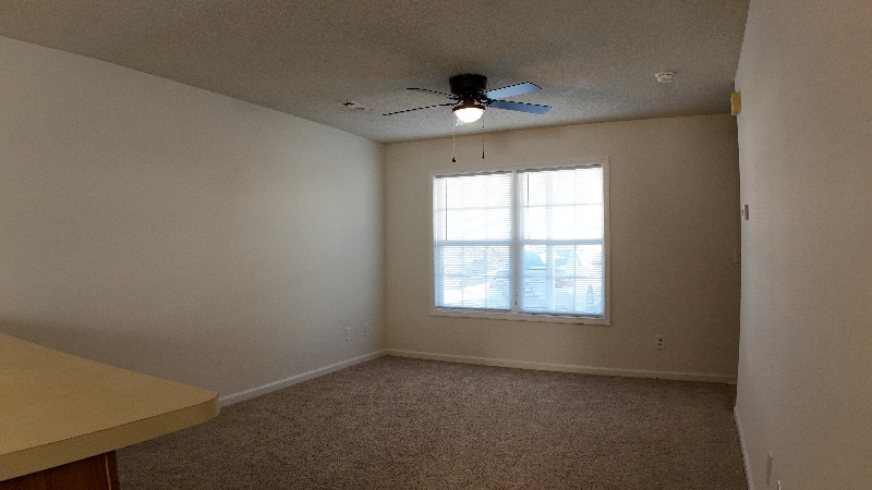 Building Photo - 221A Springfield Cir