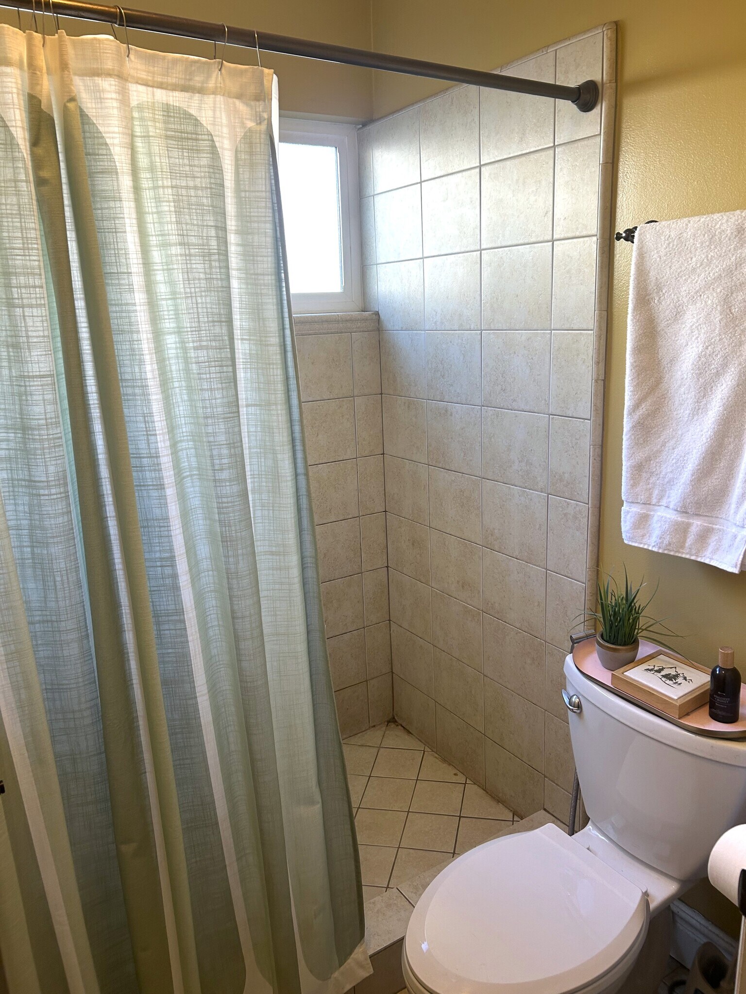 Shower/toilet as furnished by current resident - 73 F St E