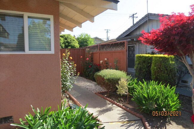 Building Photo - 2132 Town and Country Ln