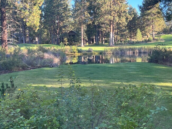 view from back deck - 60709 Golf Village Loop
