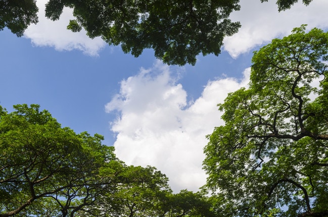 Building Photo - Allen Pointe Apartments