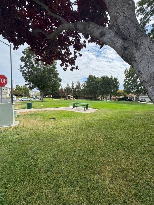 Building Photo - 645 Rockspray Cir