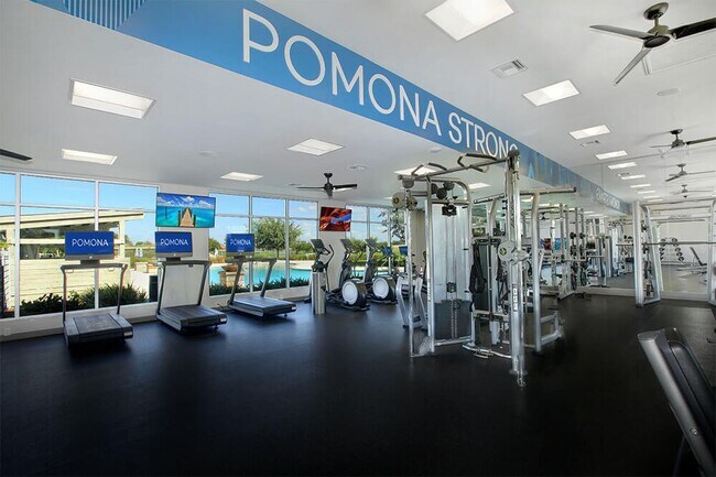 Building Photo - 4540 Mesquite Terrace Dr