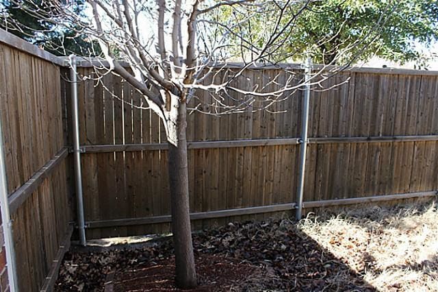 Building Photo - 6325 Cedar Falls Dr