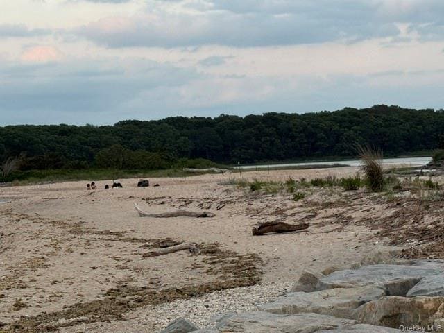 Building Photo - 25 Miami Ave