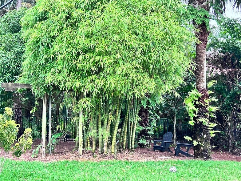 Building Photo - 6205 SE Circle St