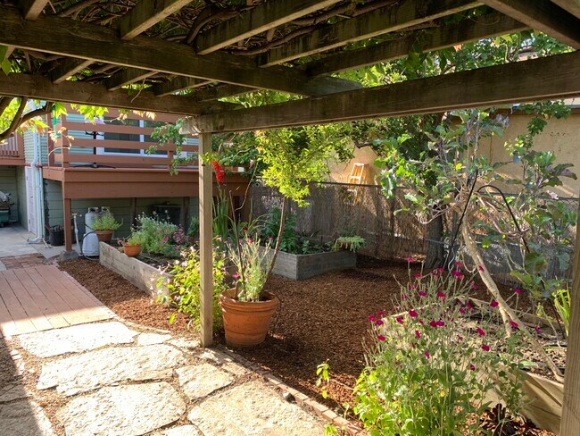 Back yard - 5495 Fairfax Ave