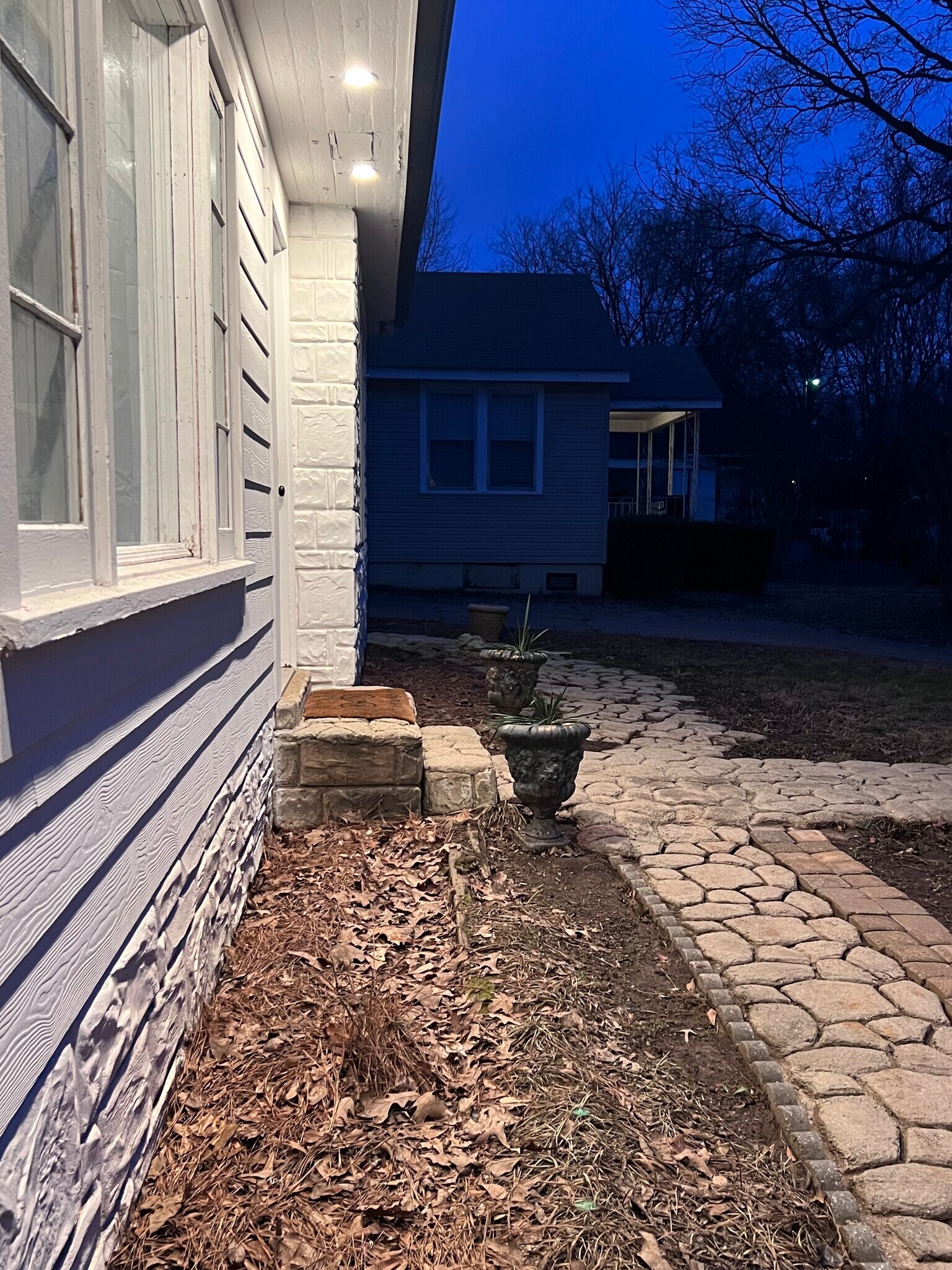 Blueberry bushes planted under front windows. - 620 Simpson St