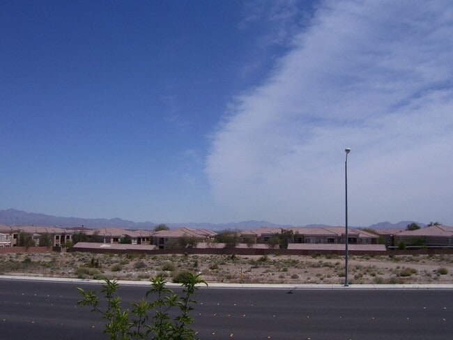 Building Photo - LACEBARK PINE