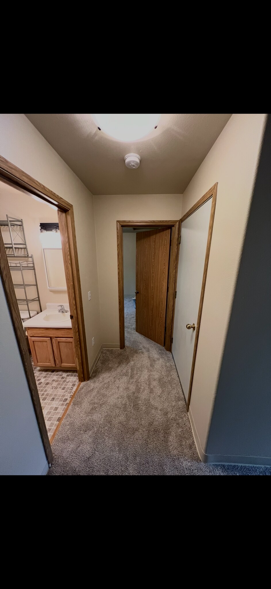 Building Photo - 225 E Stonehaven Cir