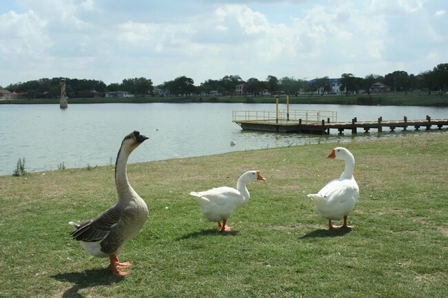 Lake/Park - 1801 W Craig Pl