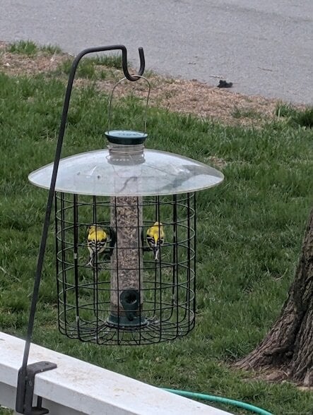 Building Photo - 24 Warren Ave