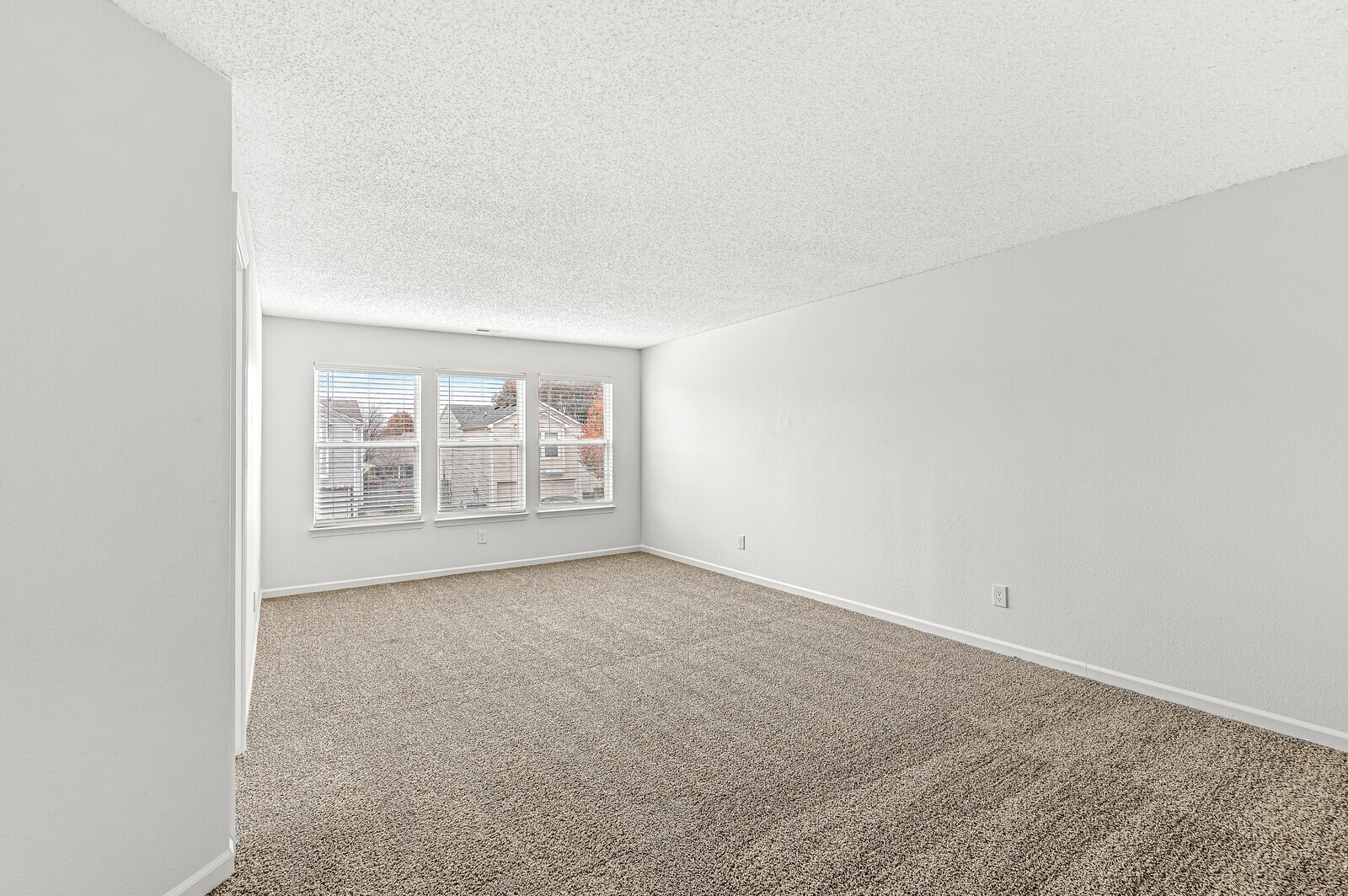 Building Photo - 1316 Freemont Ln