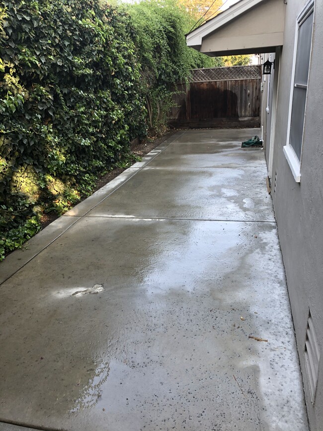 Private patio area - 3065 17th St