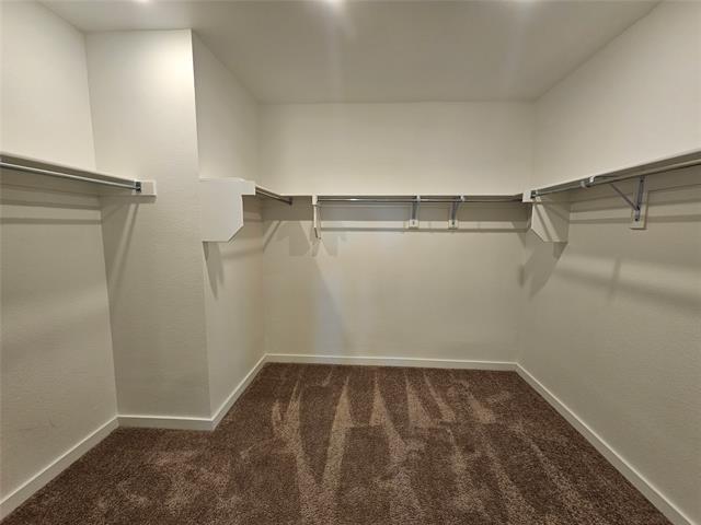 Building Photo - 1813 Solterra Blvd