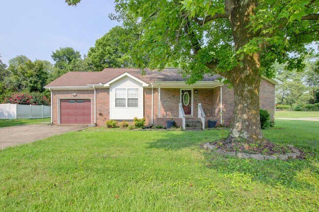 Building Photo - Updated 3bed 2 bath in St B with SEPARATE WORKSHOP around back.