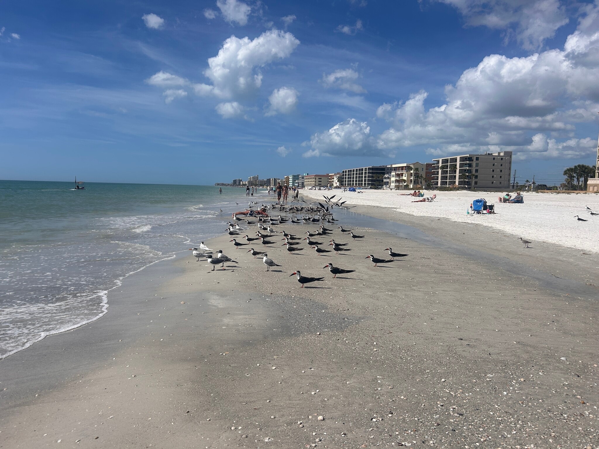 This is what you see every morning - 13100 Boca Ciega Ave