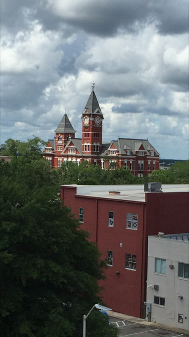 View from Living Room - 145 E Magnolia Ave