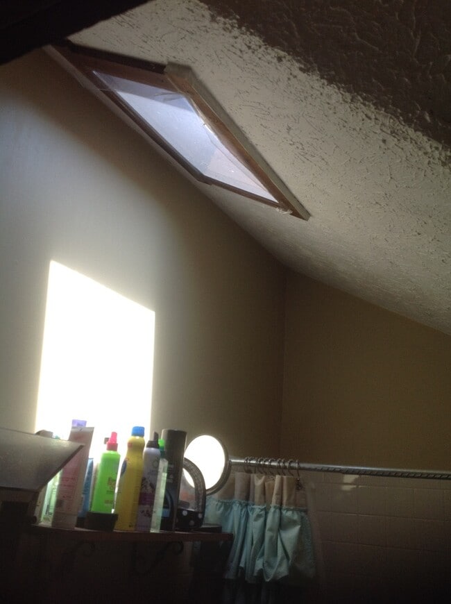 Building Photo - Spacious Downtown 2 Bedroom Attic Apartment