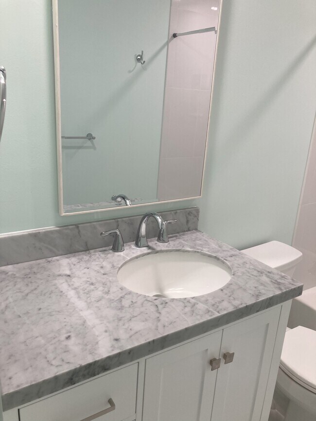 Guest Bath vanity - 208 Mayan Ter