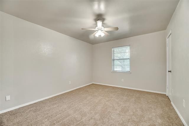 Building Photo - 8113 Starnes Rd