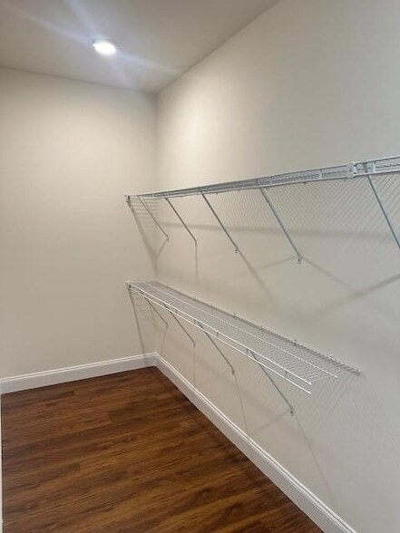 Building Photo - 1925 Cypress Ln