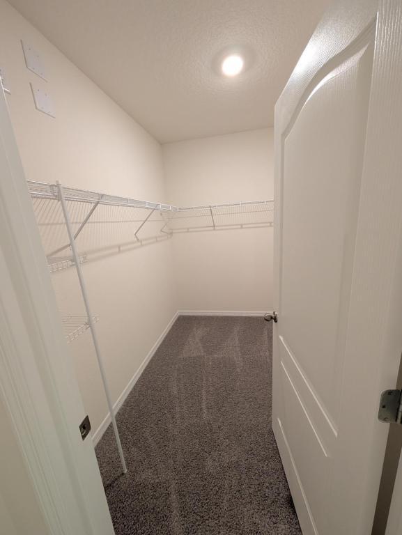 Building Photo - 1331 Lawndale Ct