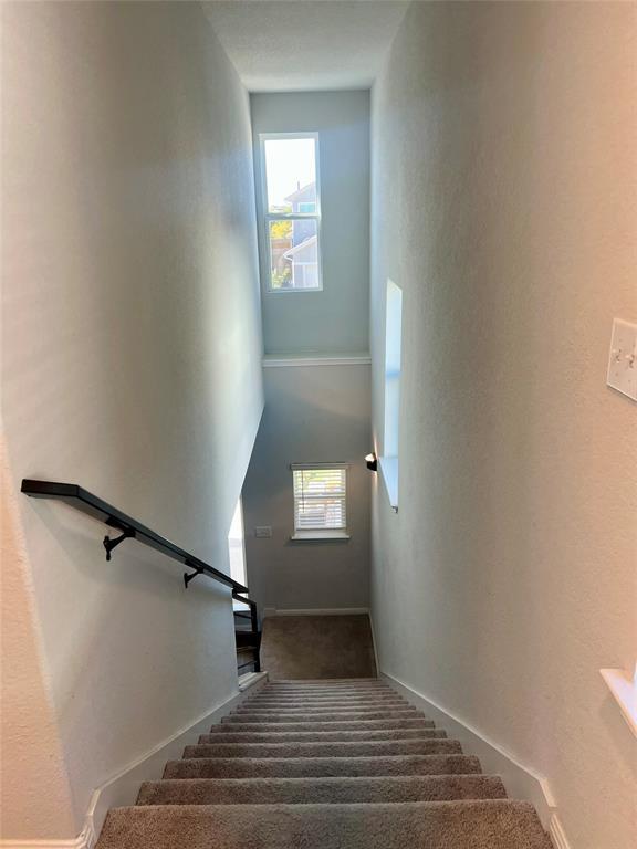 Building Photo - 11305 Sentinel Dr