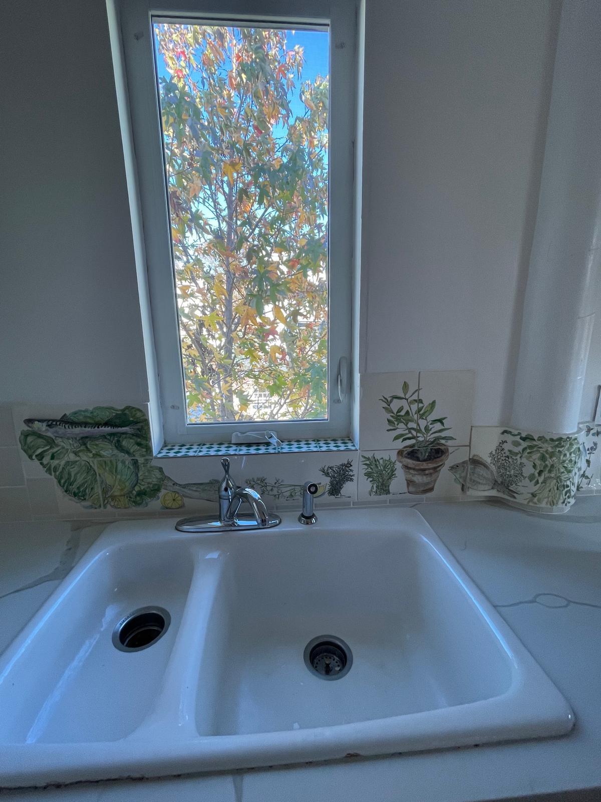 kitchen sink - 6 George St