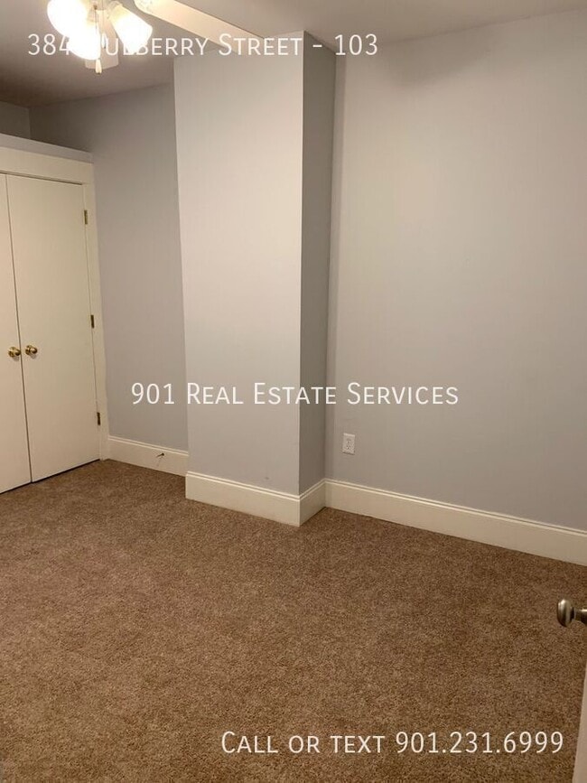 Building Photo - 384 Mulberry St