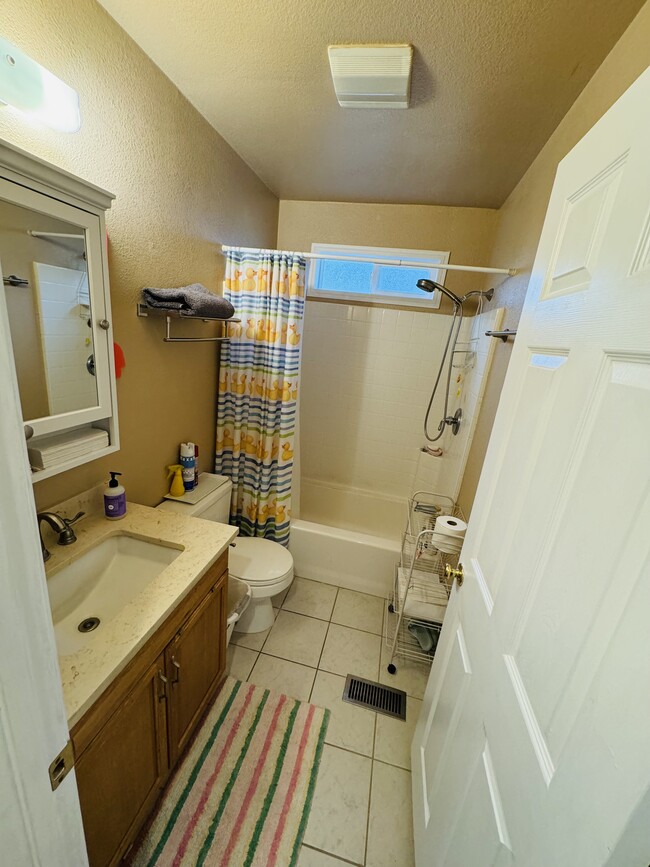 Bathroom - 345 Surber Dr