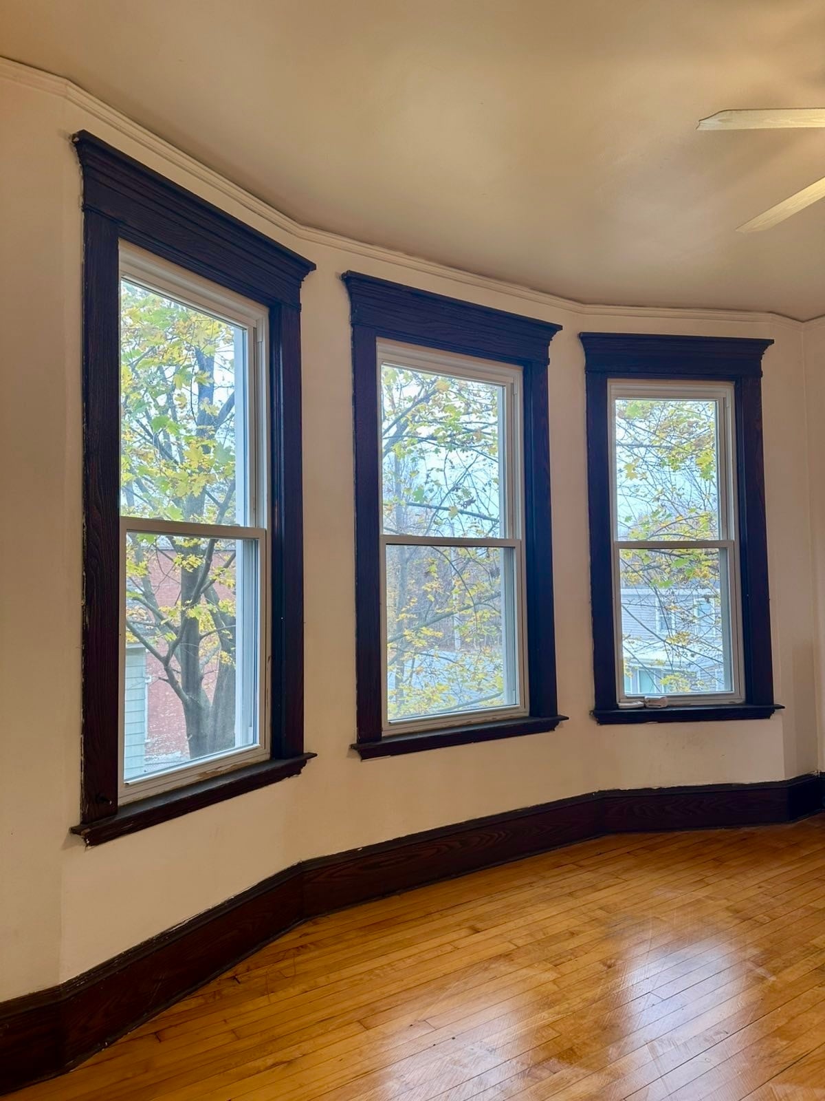 Building Photo - 107 3rd Ave