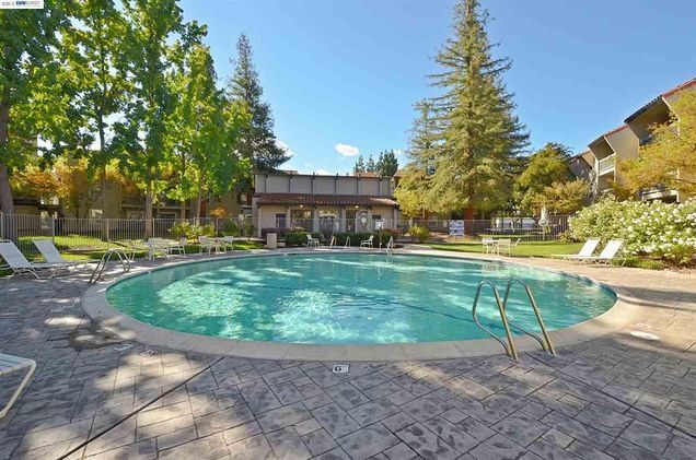 Pool - 1085 Murrieta Boulevard