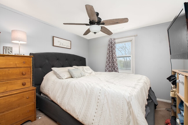 Building Photo - 300 Pauline Ave