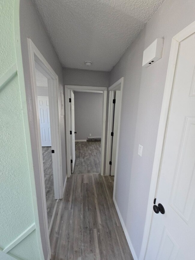 Building Photo - 2 Bed 1 Bath Apartment