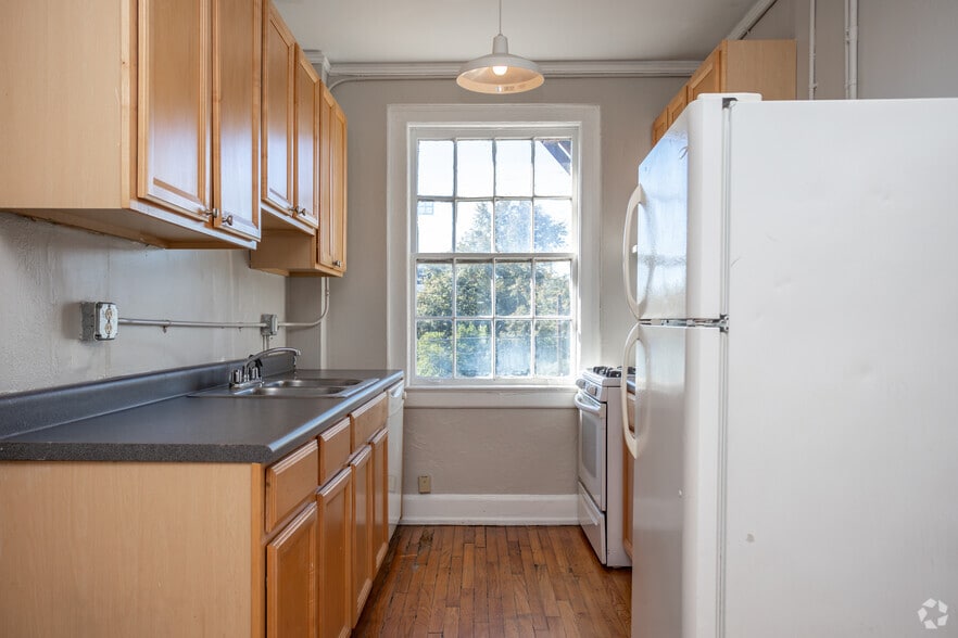 1BR, 1BA - 490SF - Kitchen - The Terrace