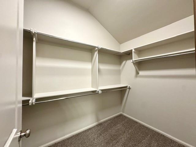 Building Photo - 2504 Northcreek Ln